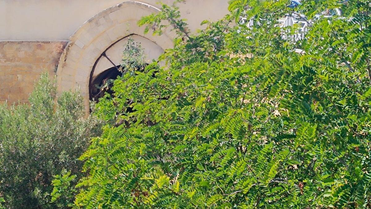 Porta Saccajoli - Saccajoli Gate