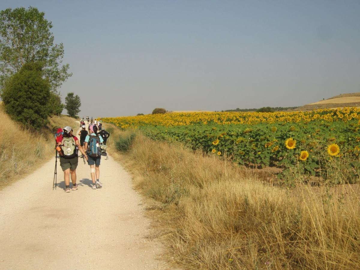 In cammino oltre Santiago