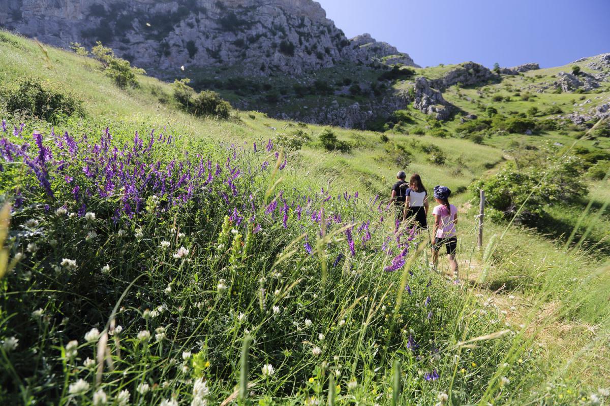 Alla Timpa di San Lorenzo a piedi