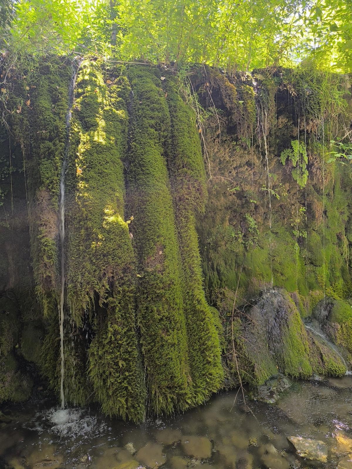 Sentiero delle Fonti Sentiero delle Fonti