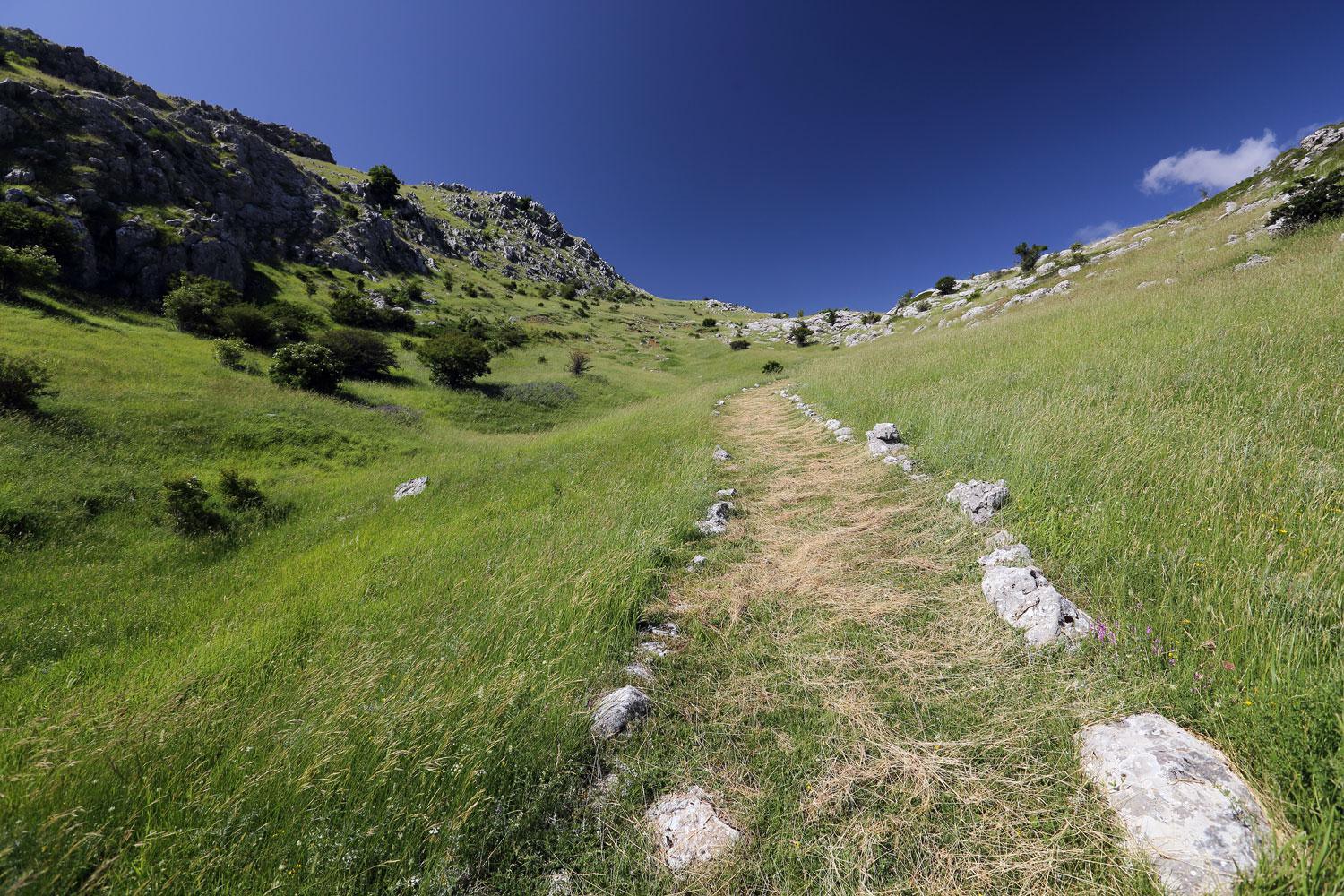 Treeking Timpa di S.Lorenzo