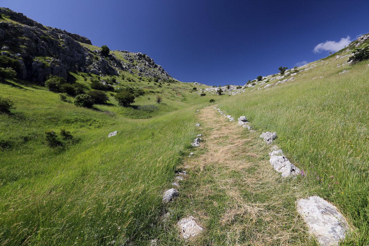 Treeking Timpa di S.Lorenzo