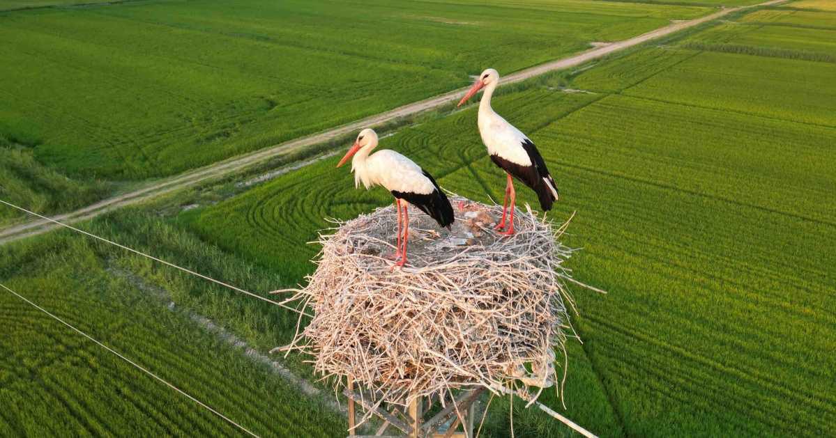 Genius loci · Costa degli Achei Genius loci · Costa degli Achei