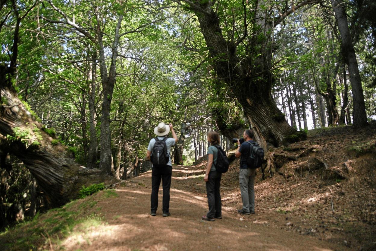 Oasi naturalistica dei Giganti di Cozzo del Pesco