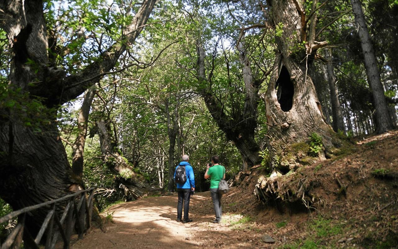 Oasi naturalistica dei Giganti di Cozzo del Pesco