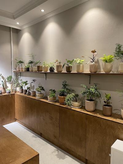 Needle and Brew Needle and Brew