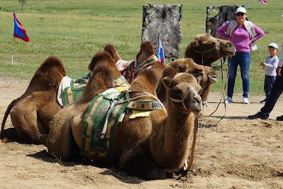 Chinggis Khaan Statue Complex Chinggis Khaan Statue Complex