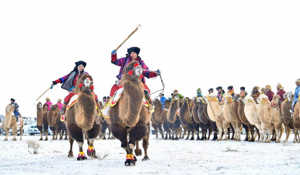 Thousand Camel Festival Mongolia 2026: Snow, Desert, and Camels