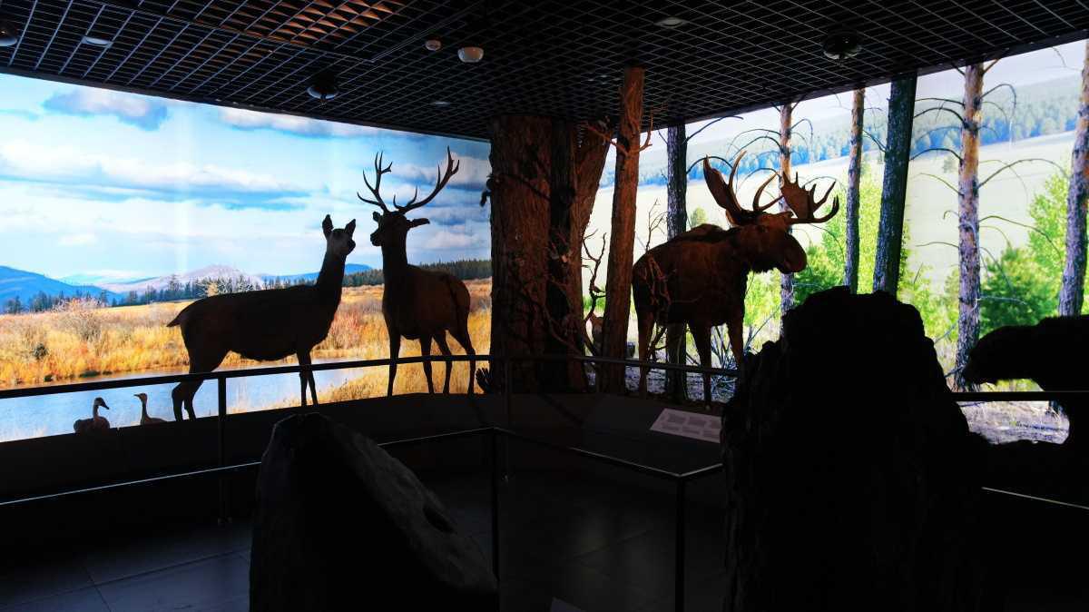 The New Khentii Province Museum in Chinggis City The New Khentii Province Museum in Chinggis City