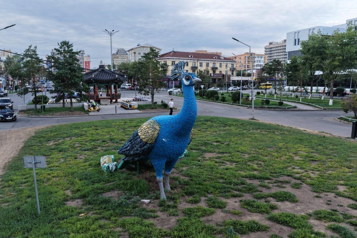 Seoul Street Peacock Sculptures