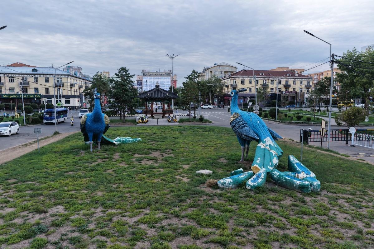 Seoul Street Peacock Sculptures