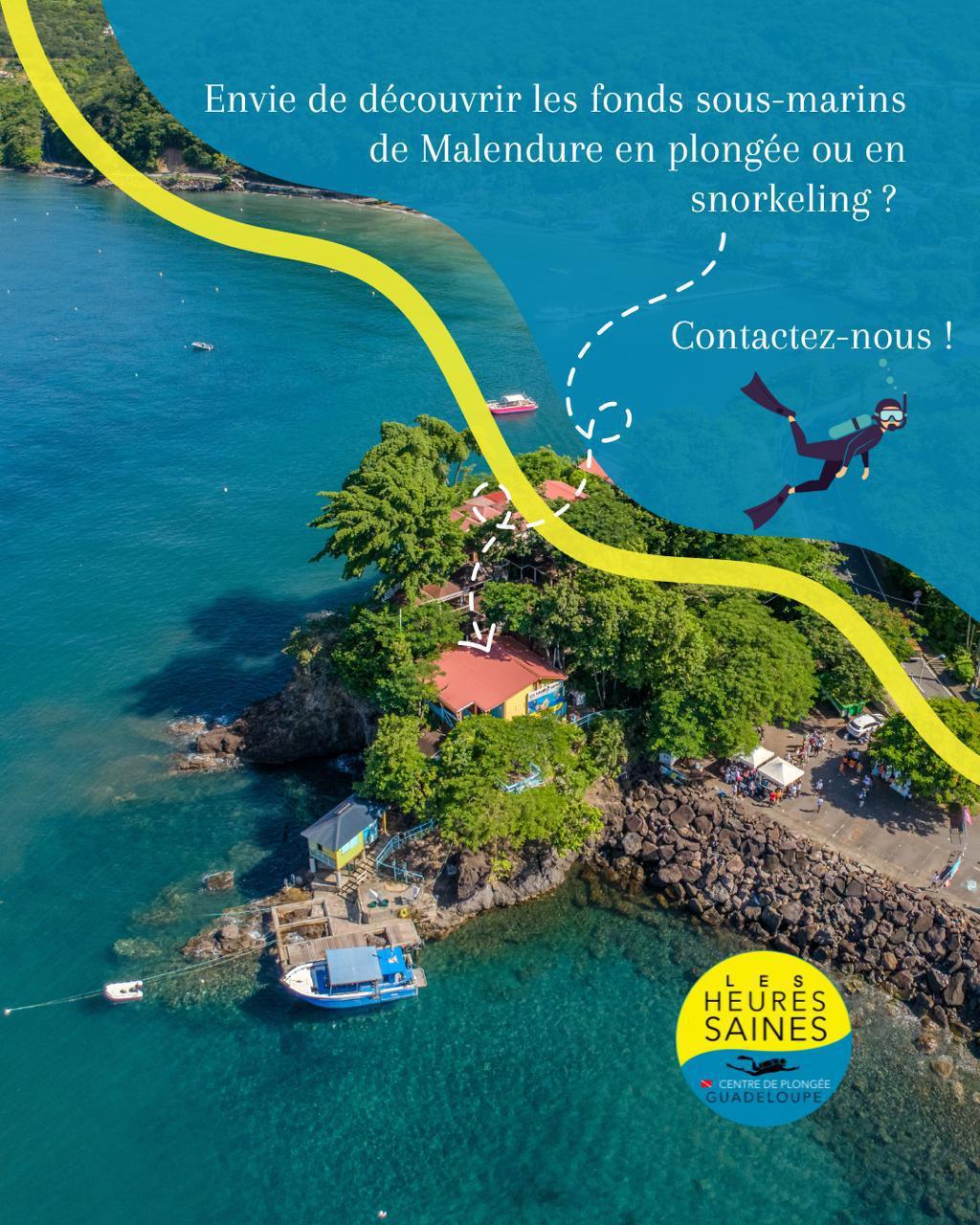 Envie de partir à la découverte des fonds marins de Bouillante ? Envie de partir à la découverte des fonds marins de Bouillante ?