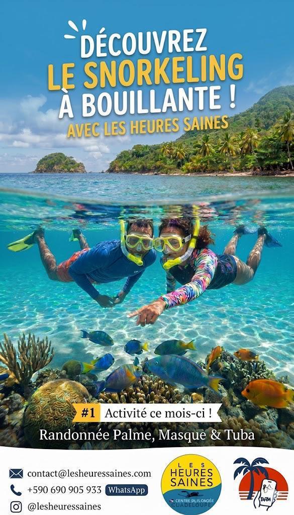 🌊 Explorez les merveilles sous-marines de Bouillante ! 🐠
