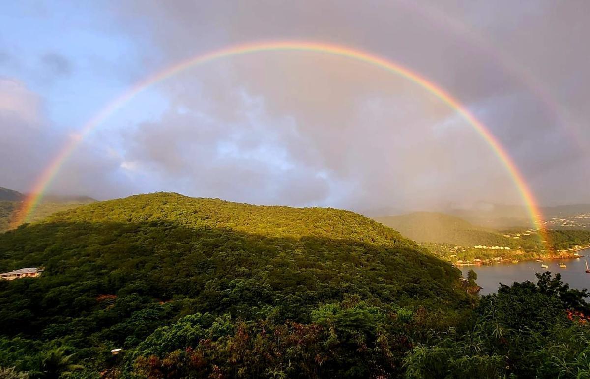 LA RÉSERVE DE L'ÎLET - villa de standing à Haut-Malendure LA RÉSERVE DE L'ÎLET - villa de standing à Haut-Malendure