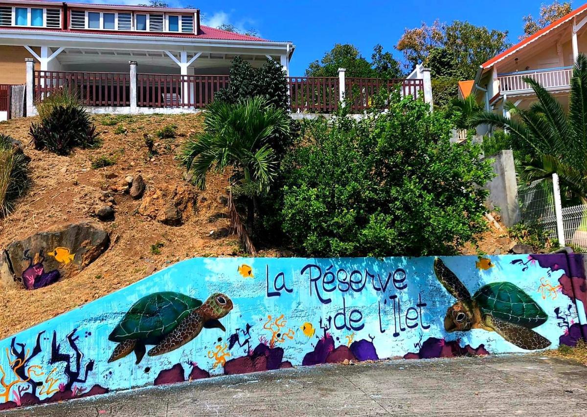 LA RÉSERVE DE L'ÎLET - villa de standing à Haut-Malendure LA RÉSERVE DE L'ÎLET - villa de standing à Haut-Malendure