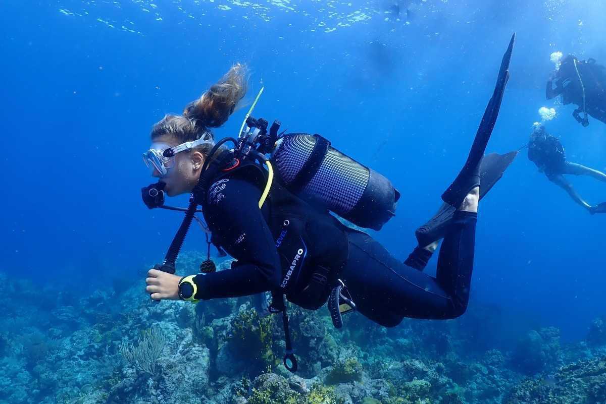 LES HEURES SAINES - diving center