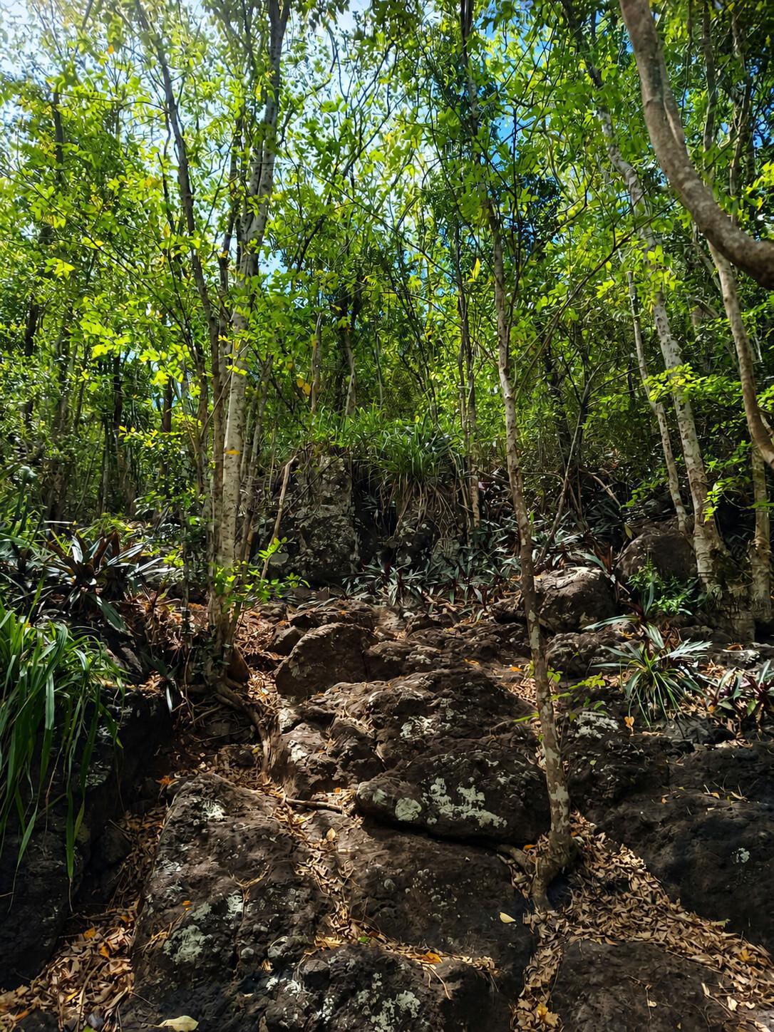 The Trail of Little Malendure - coastal hike The Trail of Little Malendure - coastal hike