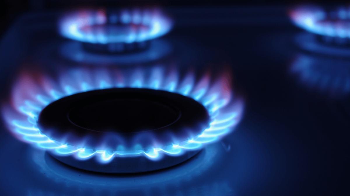 Viviendas vacacionales Viviendas vacacionales