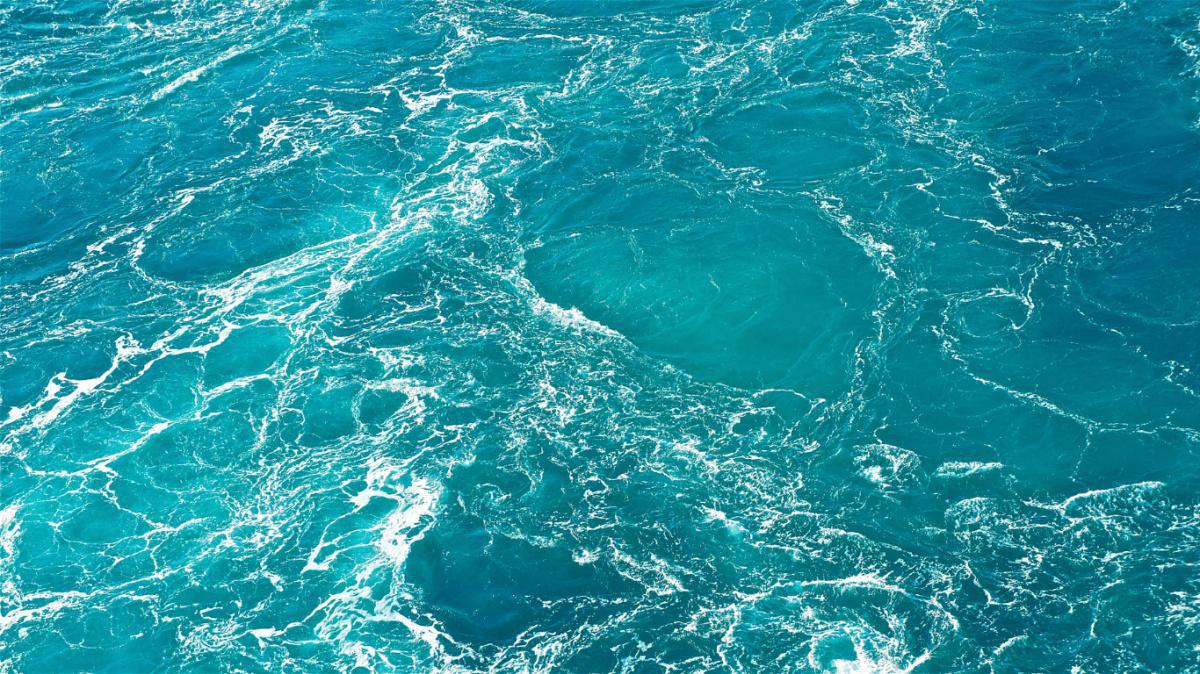 Seguridad en Playas Seguridad en Playas