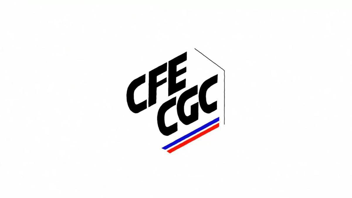 Le site internet de la CFE-CGC