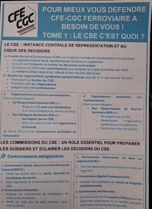 Le CSE : pour mieux vous défendre TOME 1