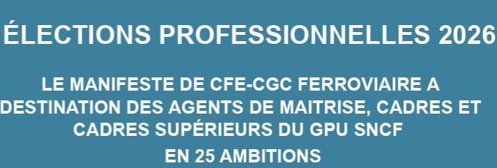 ELECTIONS PROFFESIONNELLES 2026
