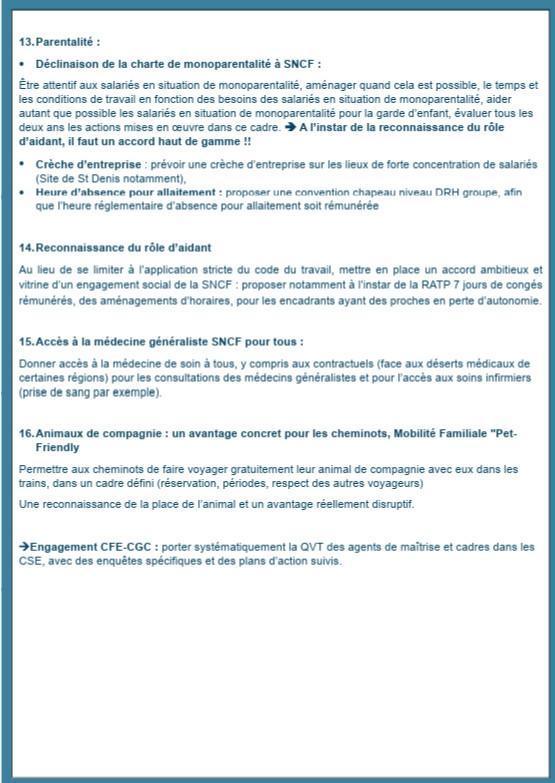 ELECTIONS PROFFESIONNELLES 2026