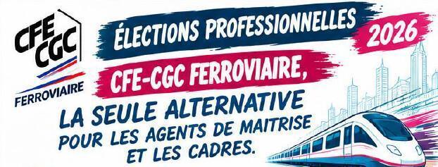 Elections professionnelles 2026