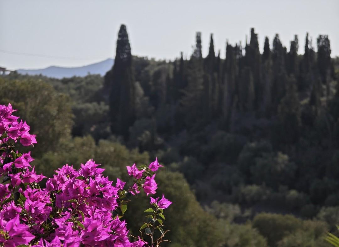 Die Glampinghütten Die Glampinghütten