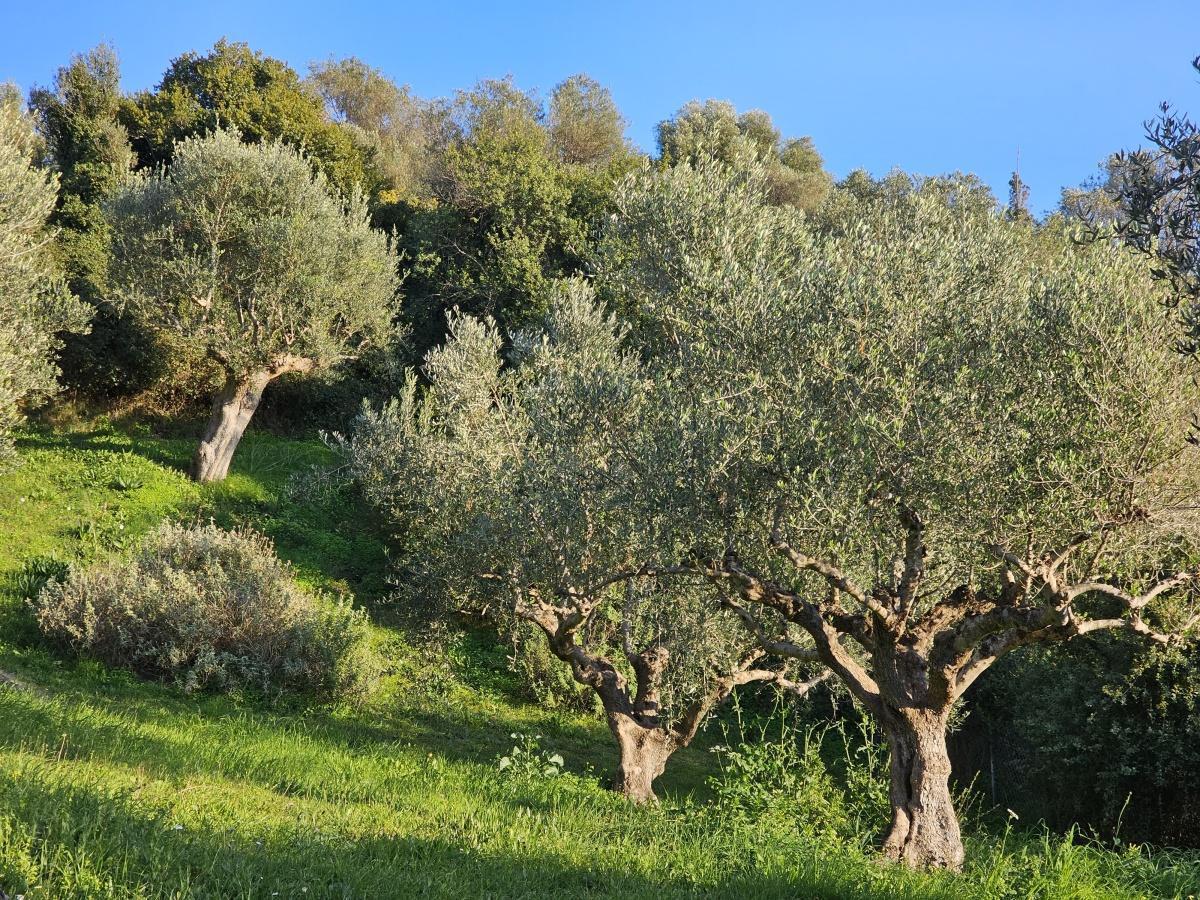 Villa Auszeit Villa Auszeit