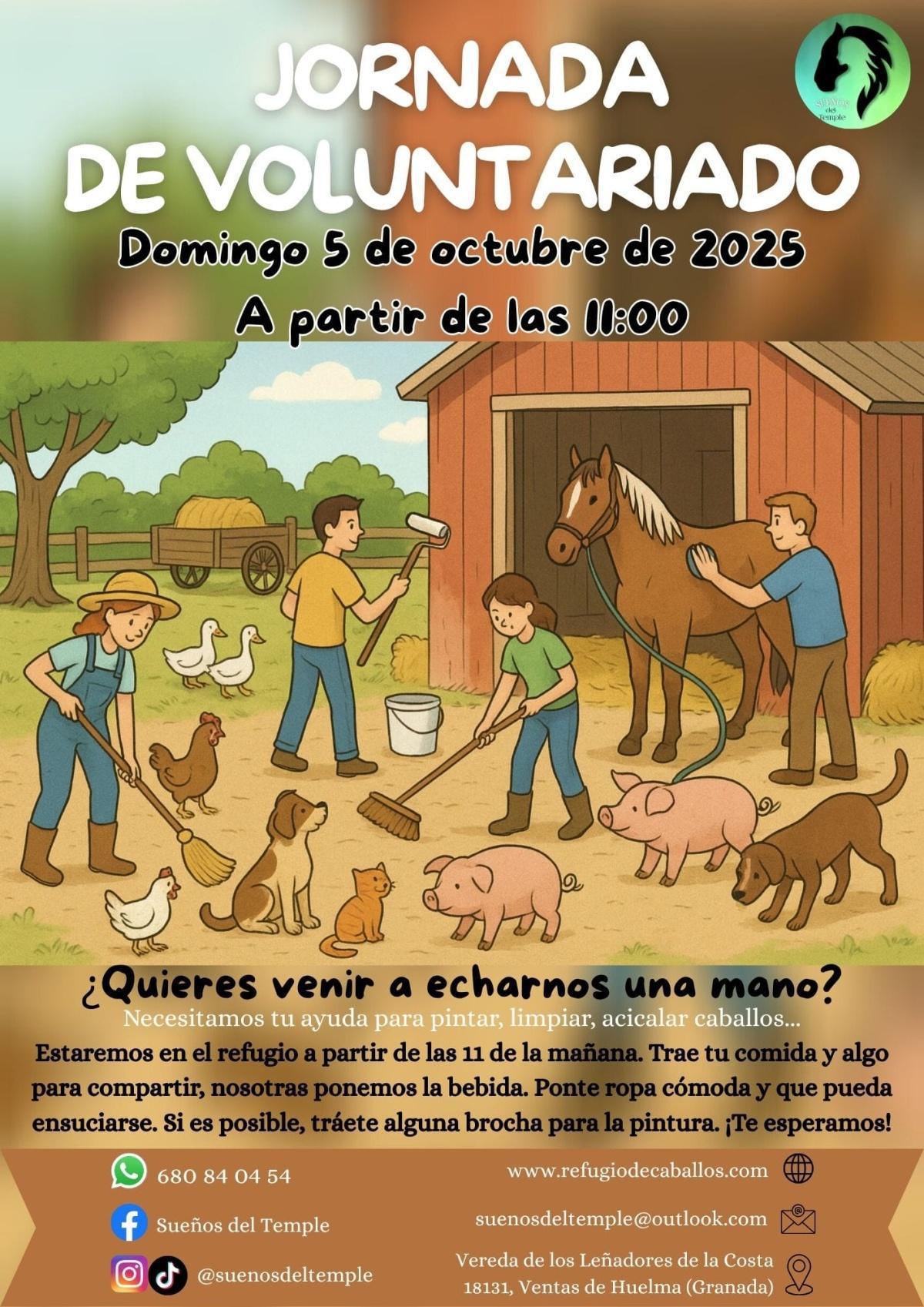 Jornada de voluntariado