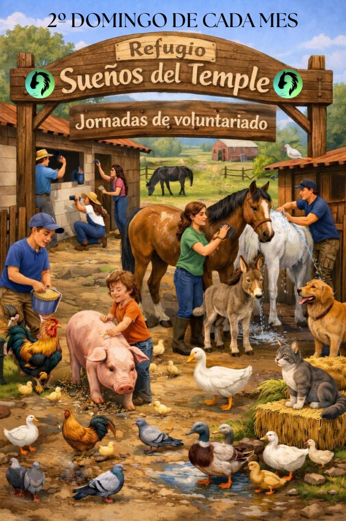 Voluntariado: segundo domingo de cada mes Voluntariado: segundo domingo de cada mes