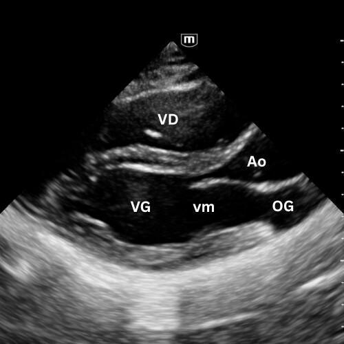 Introduction Introduction