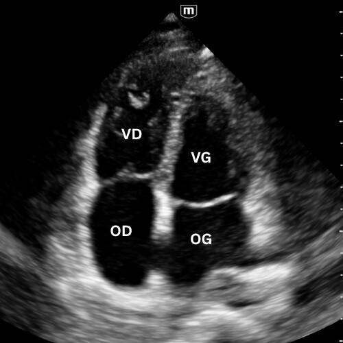 Introduction Introduction