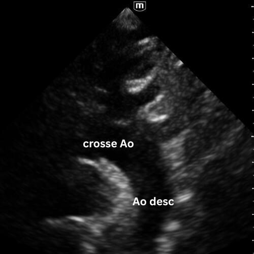 Introduction Introduction