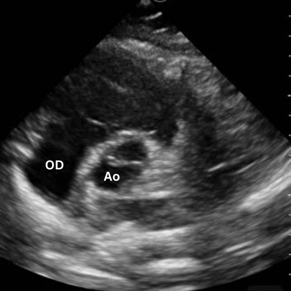 Introduction Introduction