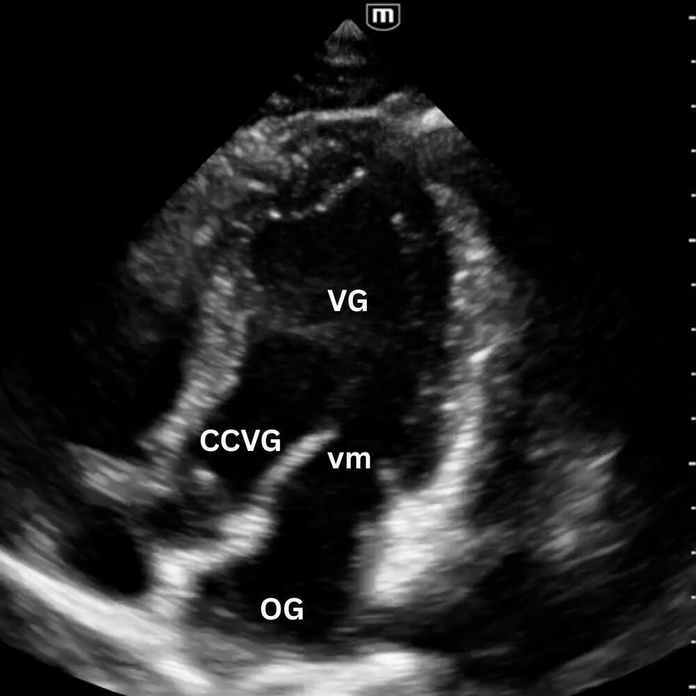 Introduction Introduction