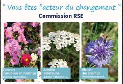 Distribution de graines Distribution de graines