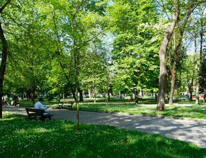 Parque Manuel Barquín
