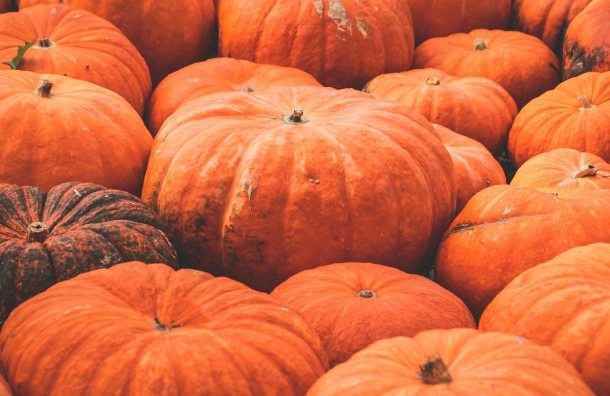 Come pulire la zucca Come pulire la zucca