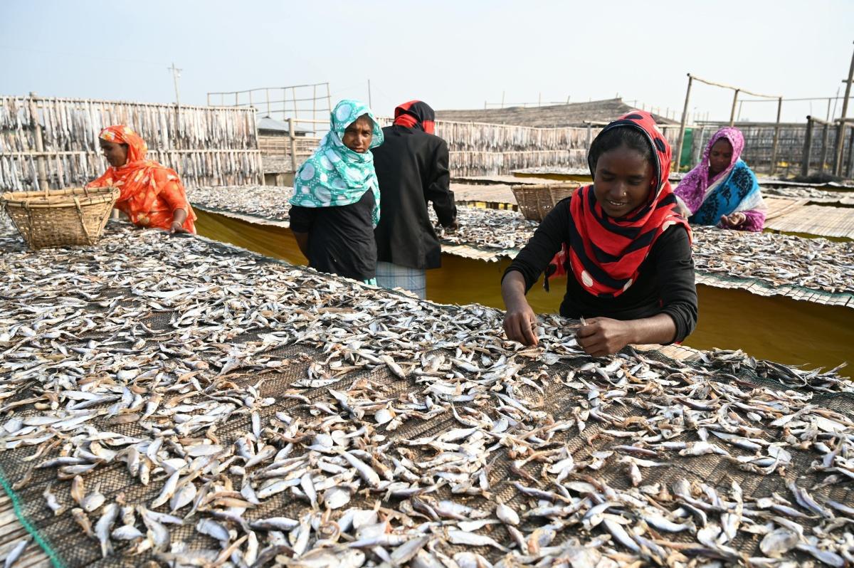 BUTCHERS/ MEAT & FISH SUPPLIERS