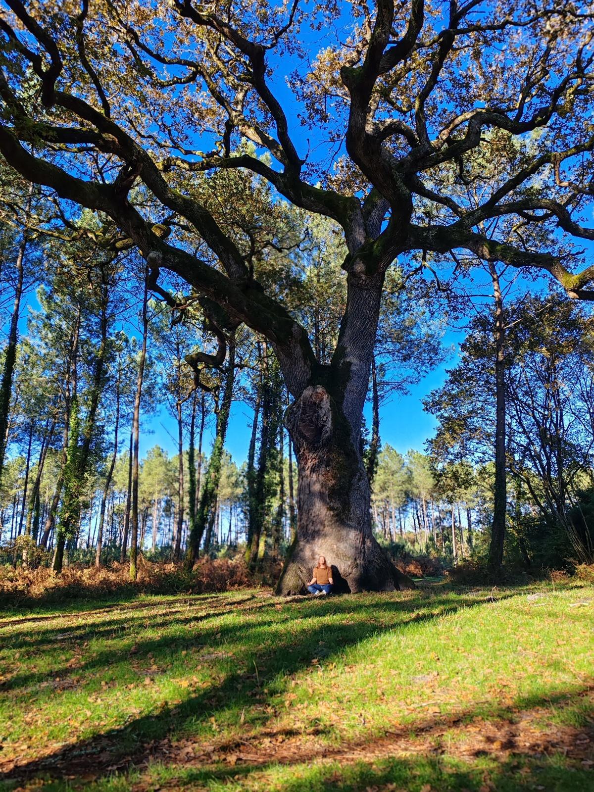 Un peu de moi ... Un peu de moi ...