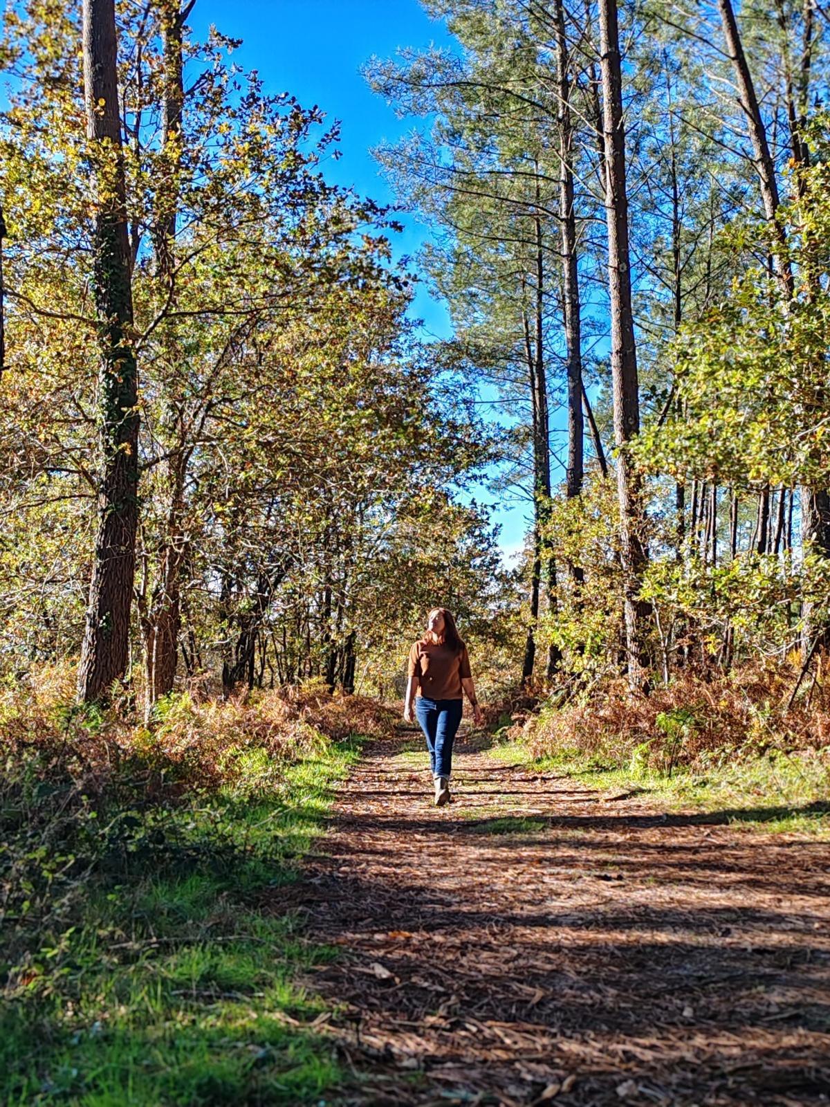 Comprendre & Transformer : L’Approche AMARYS Comprendre & Transformer : L’Approche AMARYS