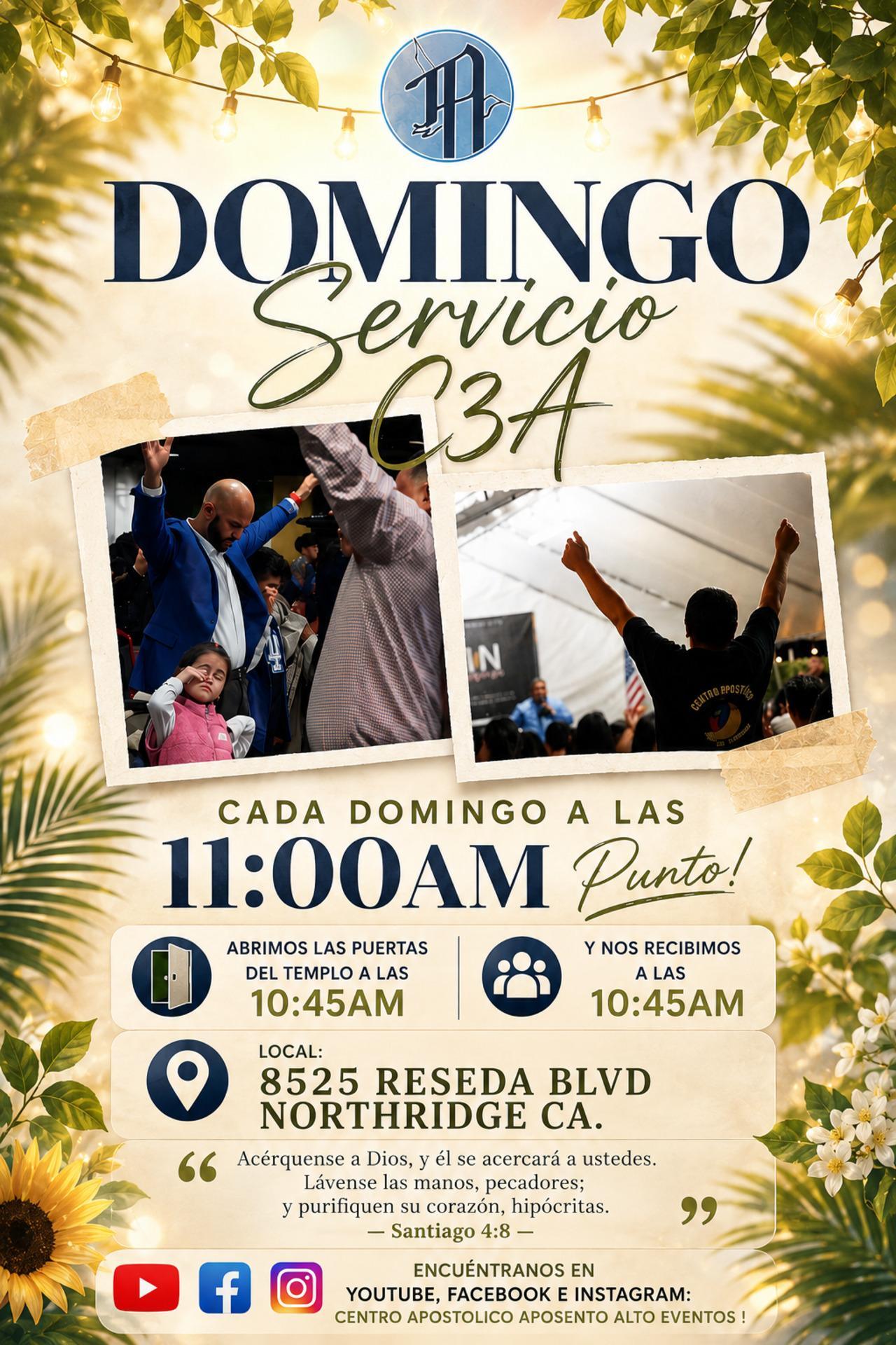 Servicio De Domingo