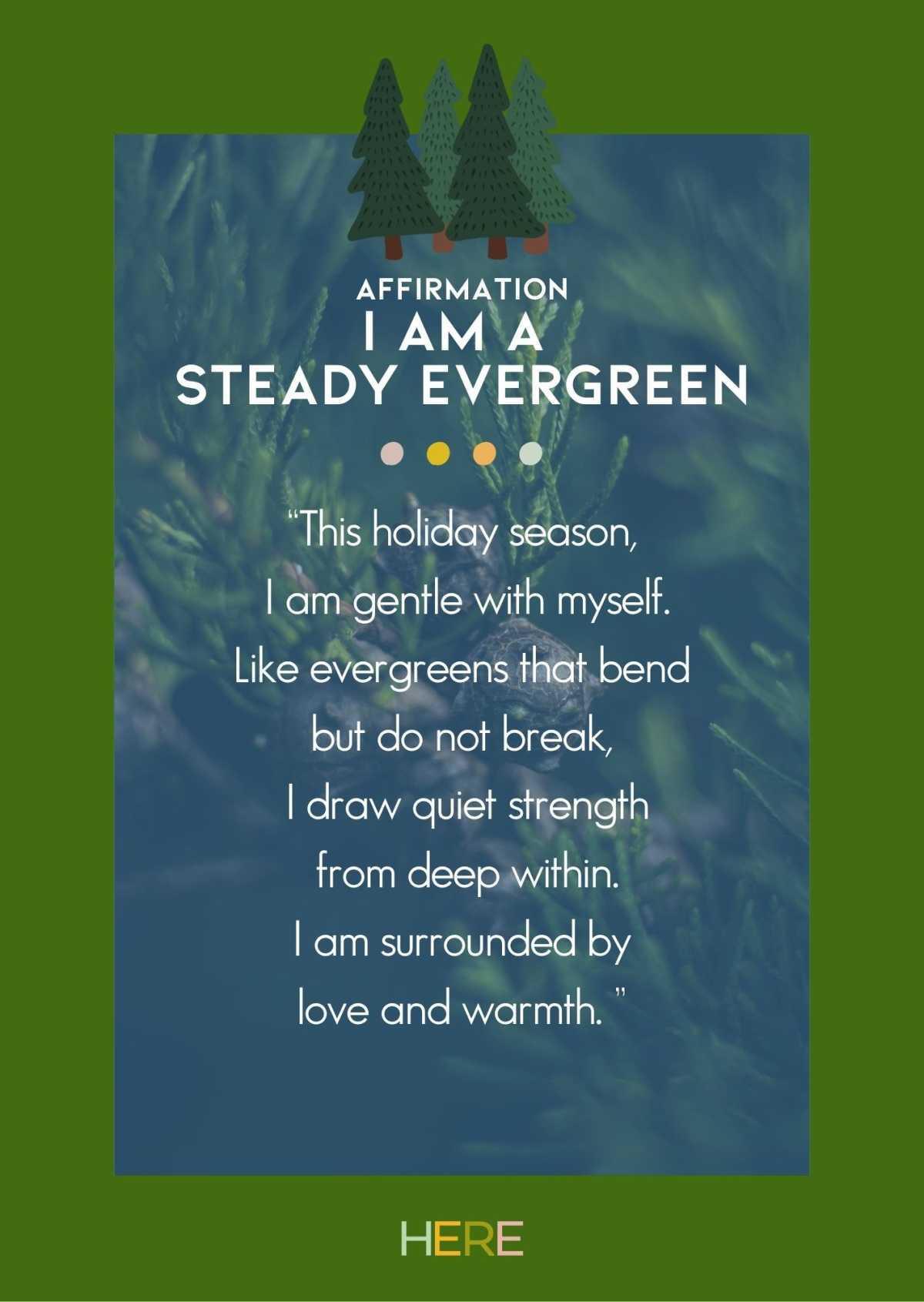 Steady Evergreen