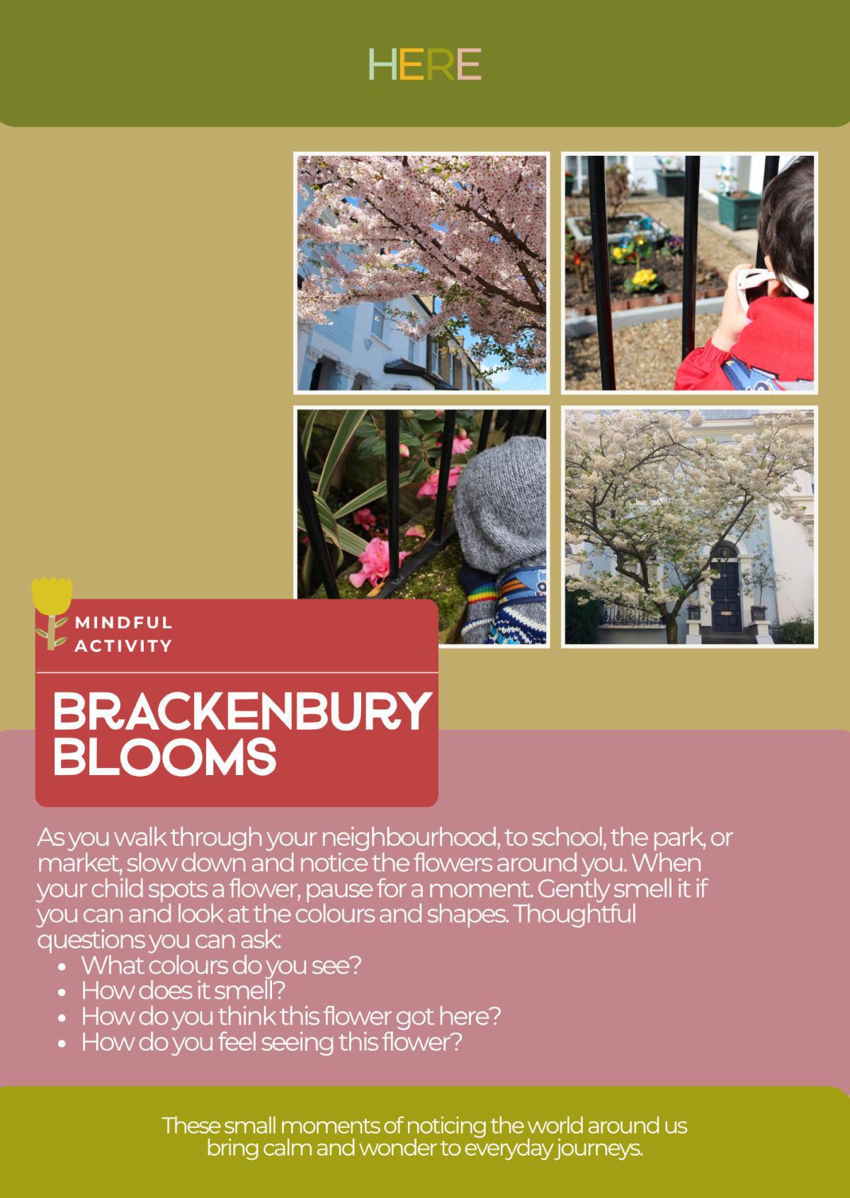 Brackenbury Blooms