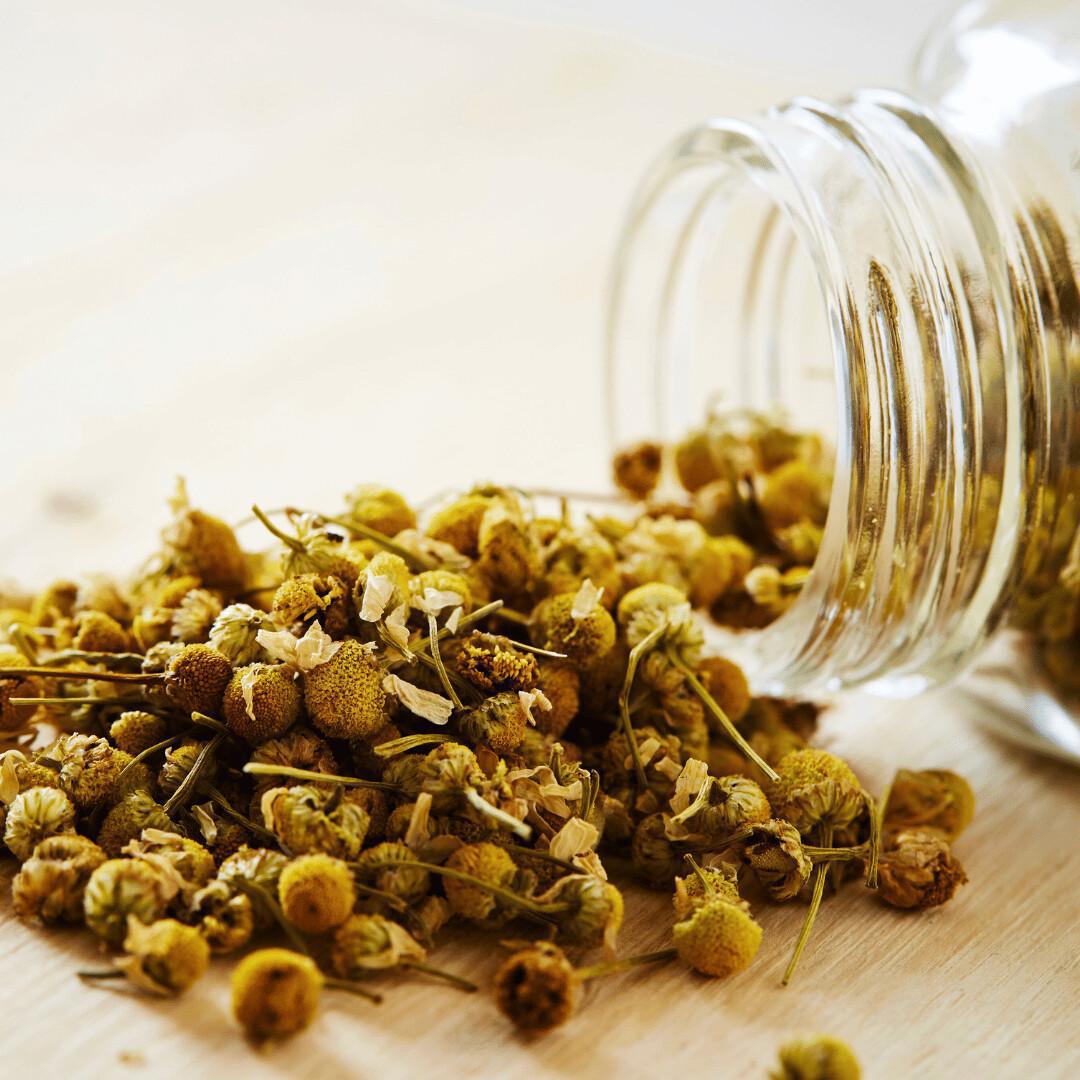 LA CAMOMILLE ROMAINE LA CAMOMILLE ROMAINE