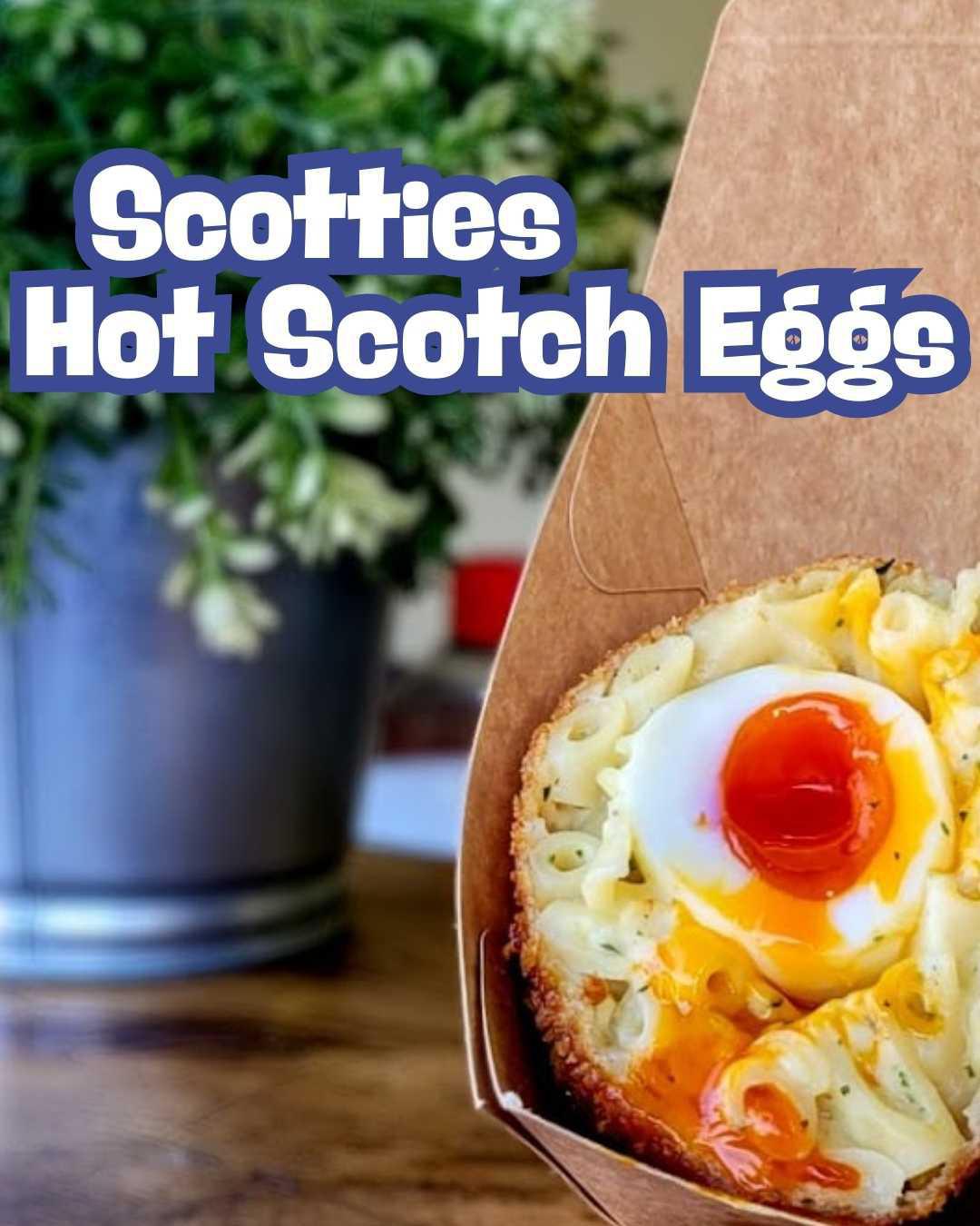 Scotties Hot Scotch Eggs Scotties Hot Scotch Eggs