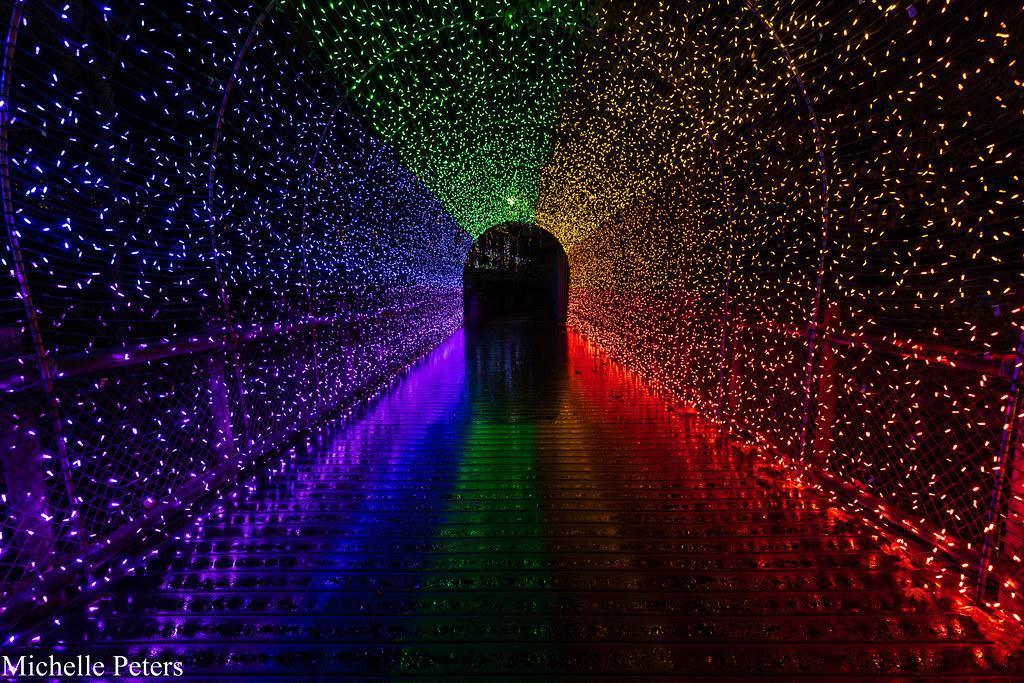 A Christmas Must: PNC Festival of Lights at the Cincinnati Zoo & Botanical Garden A Christmas Must: PNC Festival of Lights at the Cincinnati Zoo & Botanical Garden