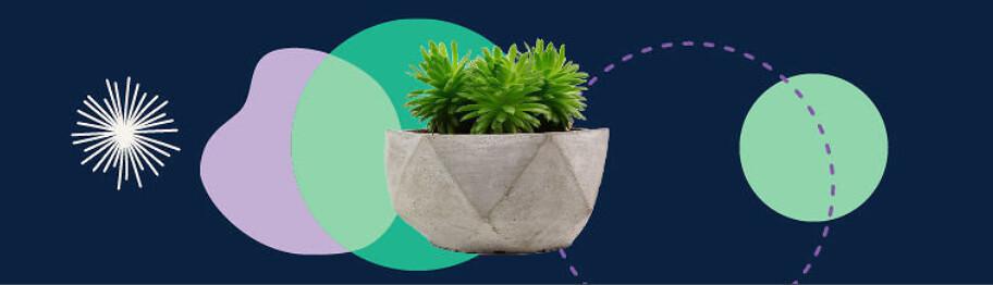 Plant Club